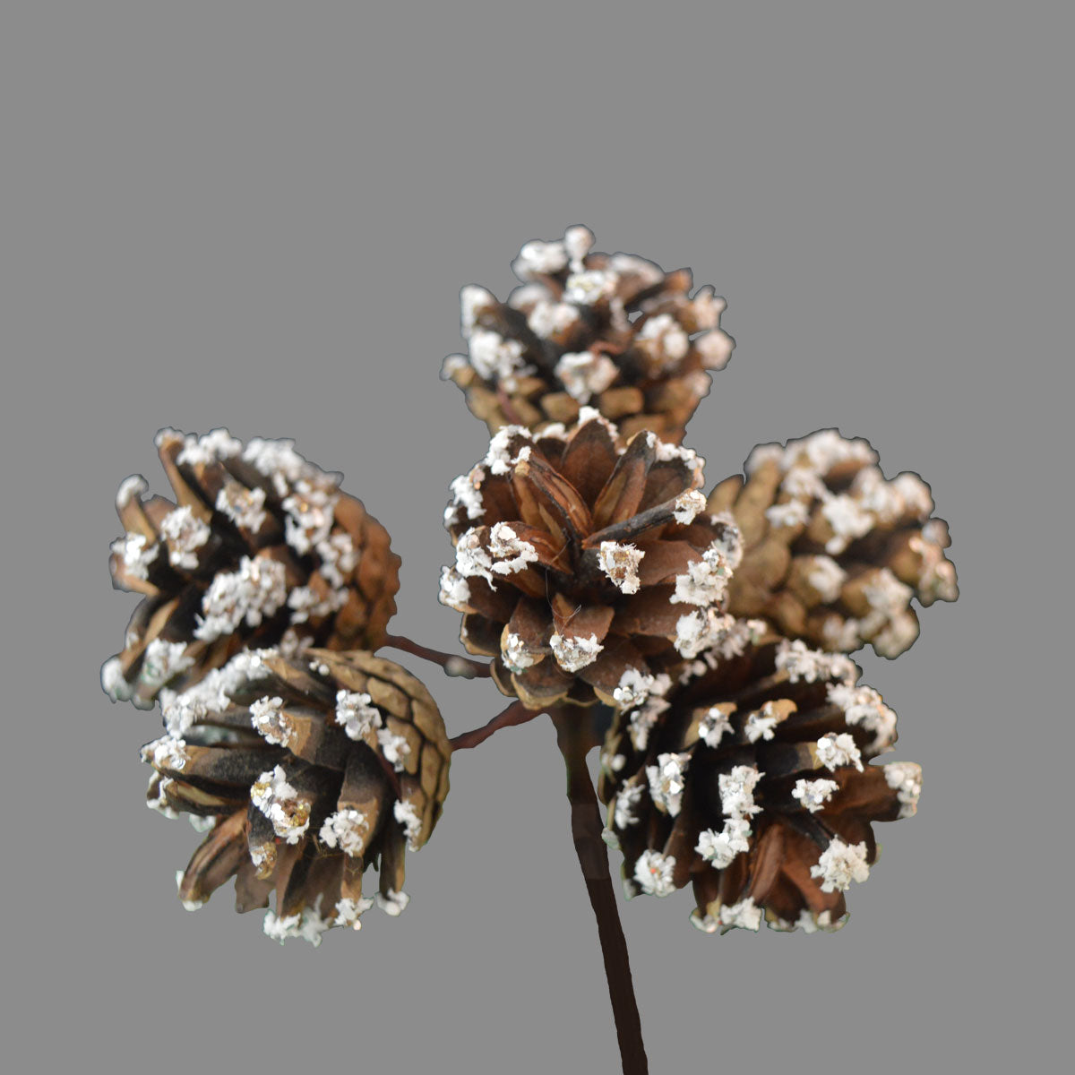 Mini Natural Snowy Frosted Pine Cone Pick with 6 Pine Cones