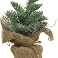 Small Plastic Trees with a Frost, Snow or Glitter Finish