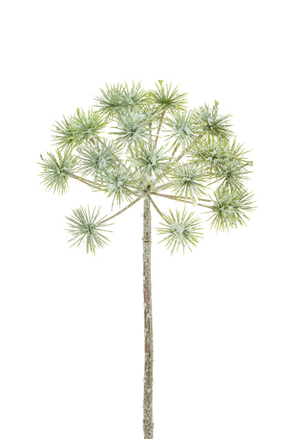 Frosty Giant Dandellion 68cm