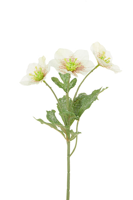 Iced Hellebore Spray with Glitter Effect- 38cm