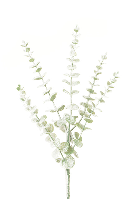 Snowstorm Eucalyptus - 72cm