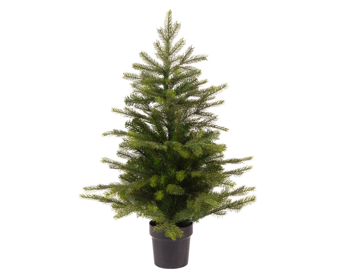 Everlands Grandis Mini Potted Christmas Tree