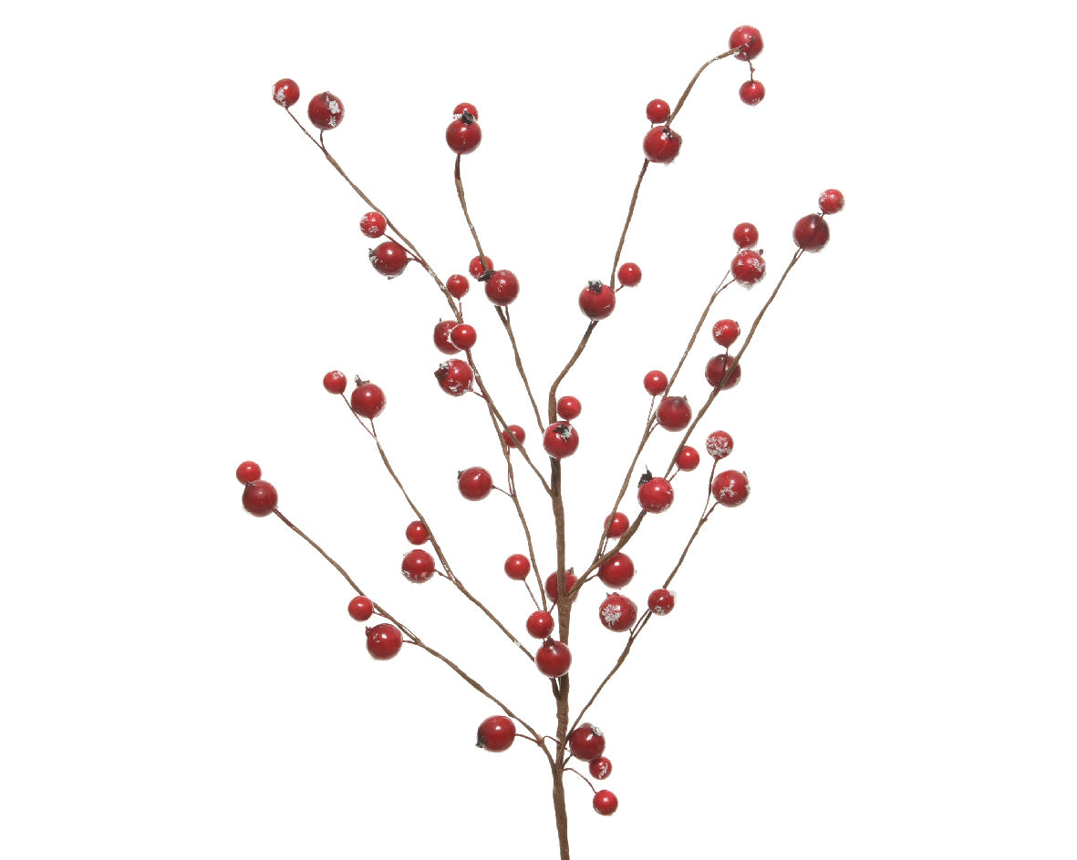 Red Berry Stems -  UK