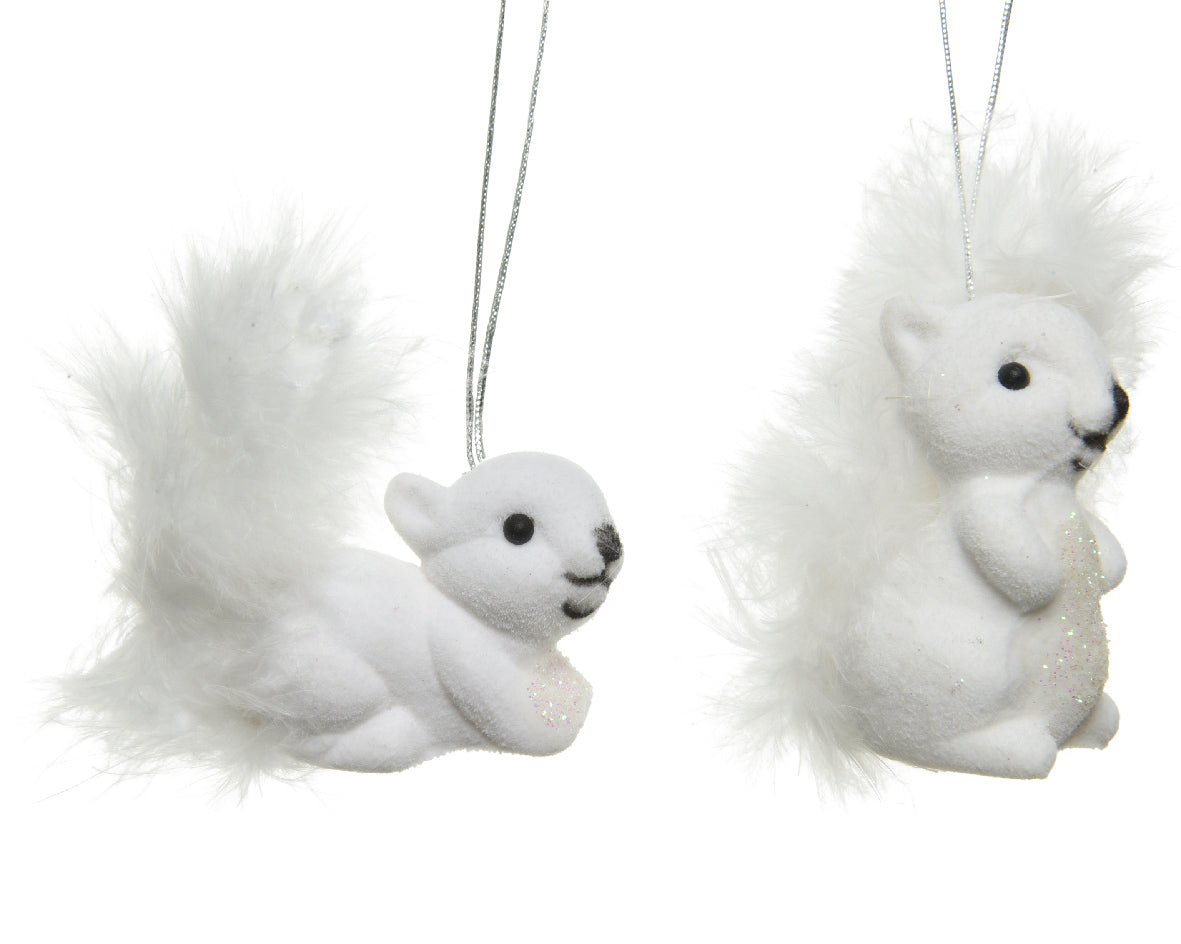 White Squirrel with Bushy Tail