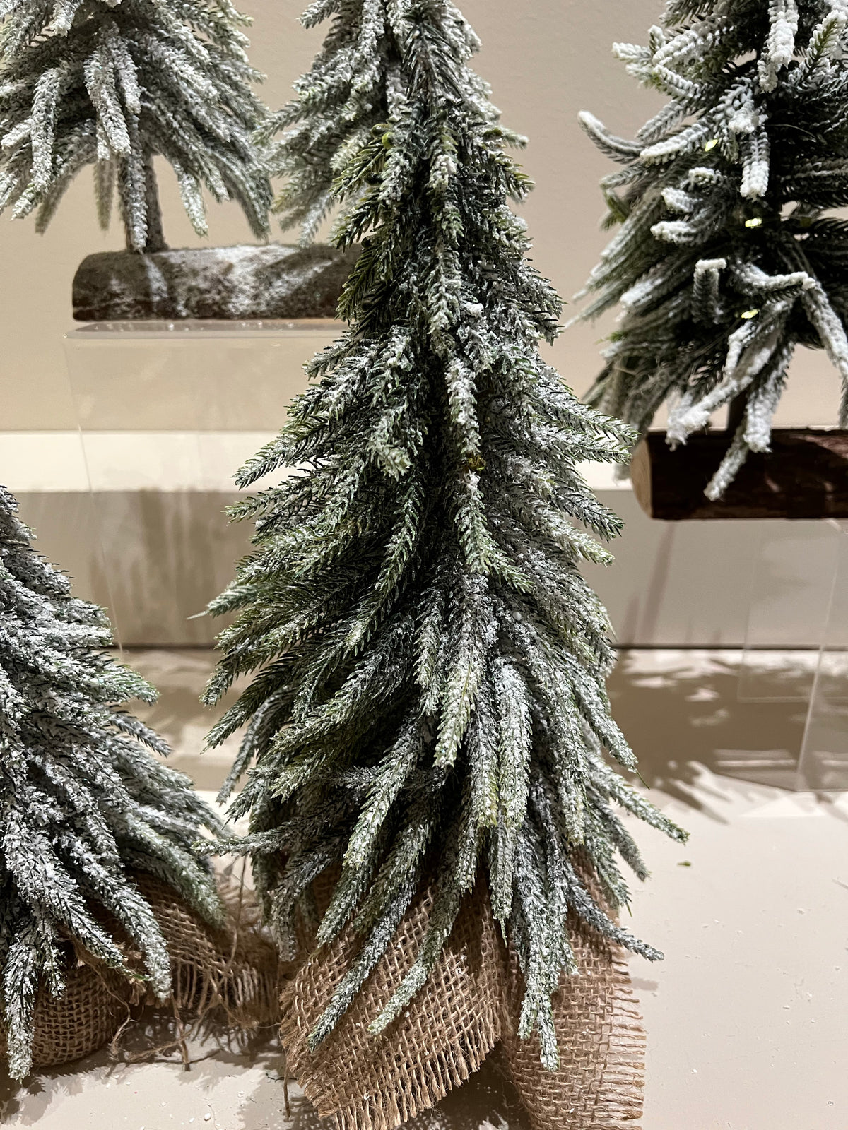 Mini Indoor Tree with Snowy Finishing
